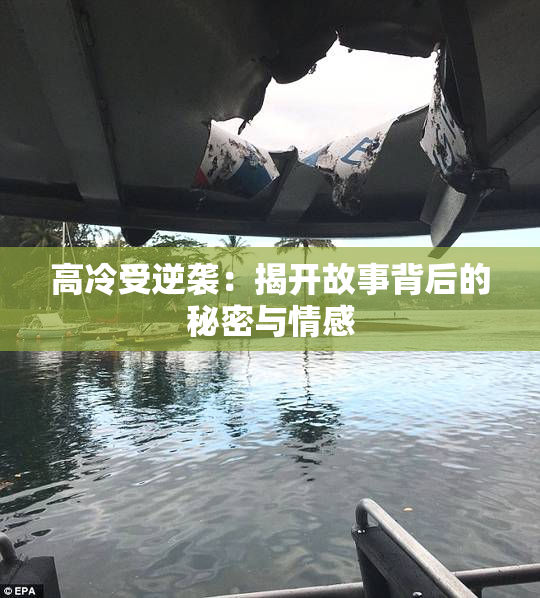 高冷受逆袭：揭开故事背后的秘密与情感