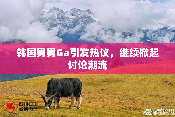 韩国男男Ga引发热议，继续掀起讨论潮流