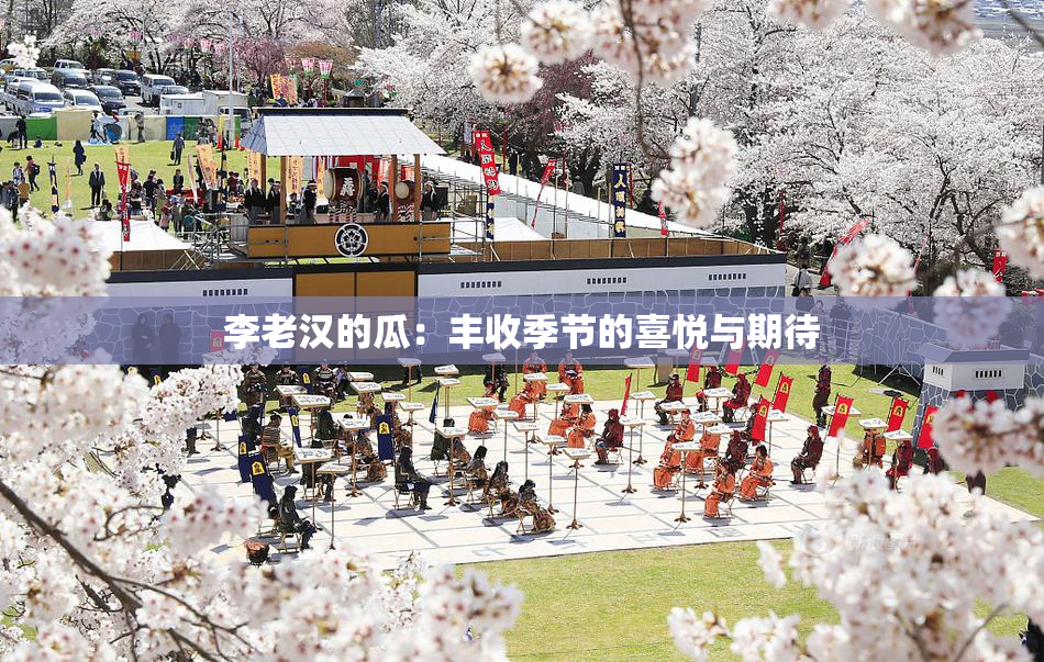 李老汉的瓜：丰收季节的喜悦与期待