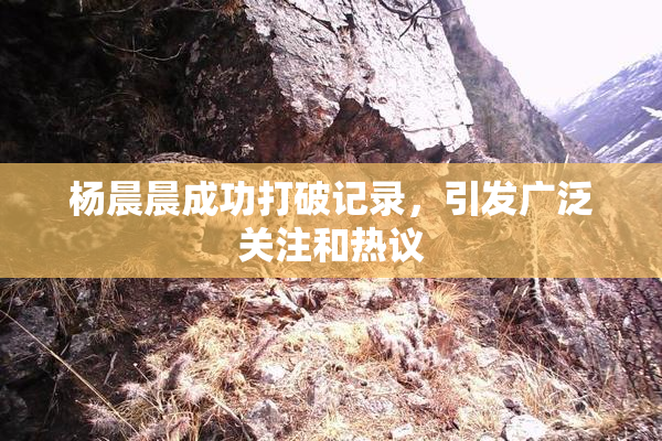 杨晨晨成功打破记录，引发广泛关注和热议