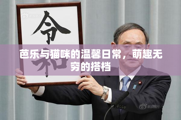 芭乐与猫咪的温馨日常，萌趣无穷的搭档