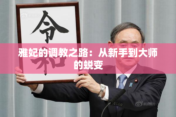 雅妃的调教之路：从新手到大师的蜕变