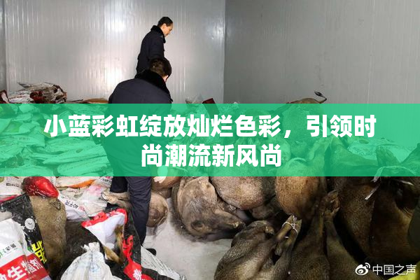 小蓝彩虹绽放灿烂色彩，引领时尚潮流新风尚