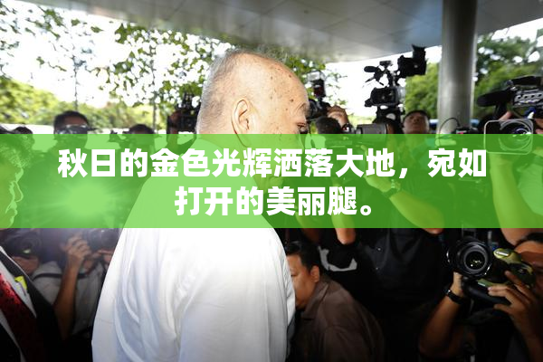 秋日的金色光辉洒落大地，宛如打开的美丽腿。