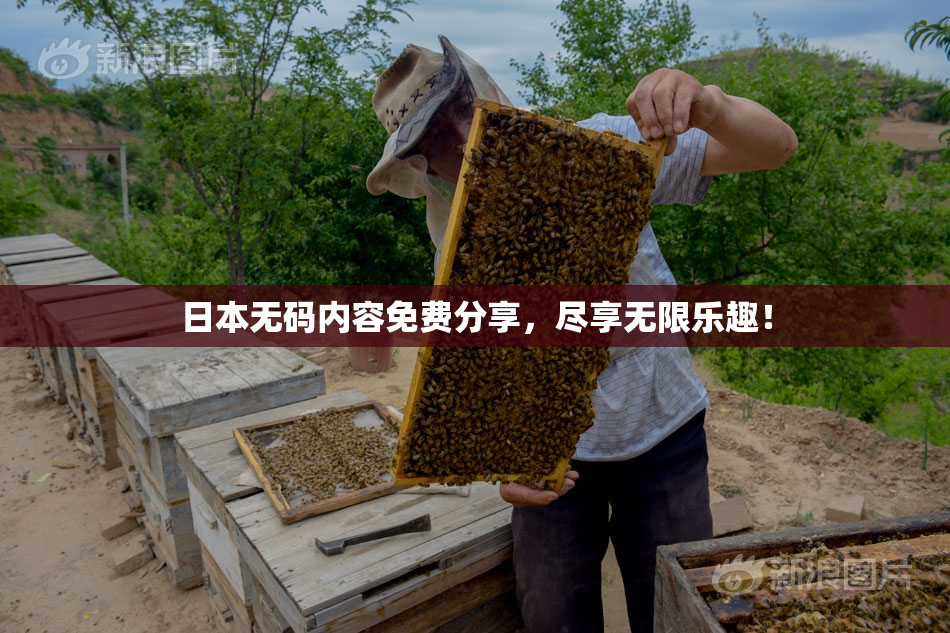 日本无码内容免费分享，尽享无限乐趣！