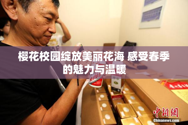 樱花校园绽放美丽花海 感受春季的魅力与温暖