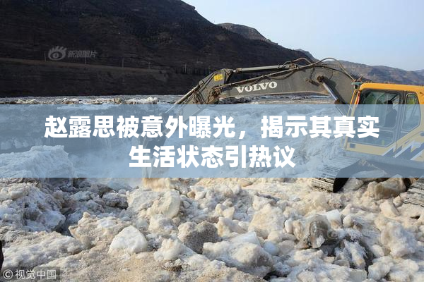 赵露思被意外曝光，揭示其真实生活状态引热议