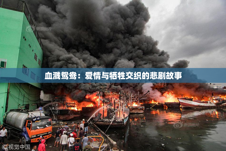 血溅鸳鸯：爱情与牺牲交织的悲剧故事