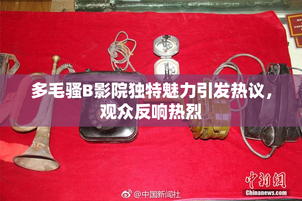 多毛骚B影院独特魅力引发热议，观众反响热烈