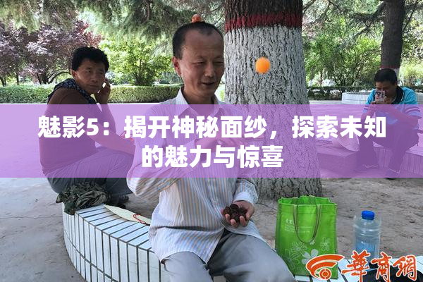 魅影5：揭开神秘面纱，探索未知的魅力与惊喜