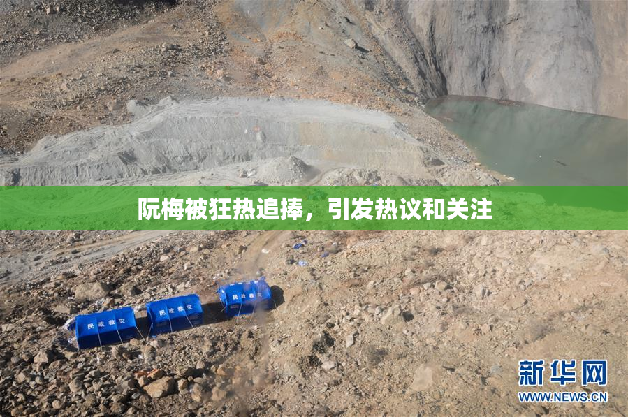 阮梅被狂热追捧，引发热议和关注