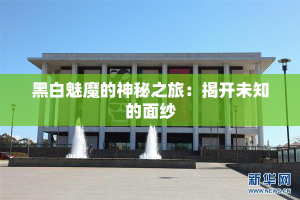 黑白魅魔的神秘之旅：揭开未知的面纱