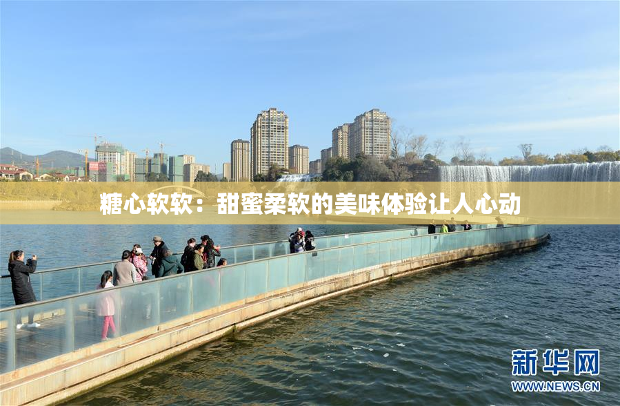 糖心软软：甜蜜柔软的美味体验让人心动