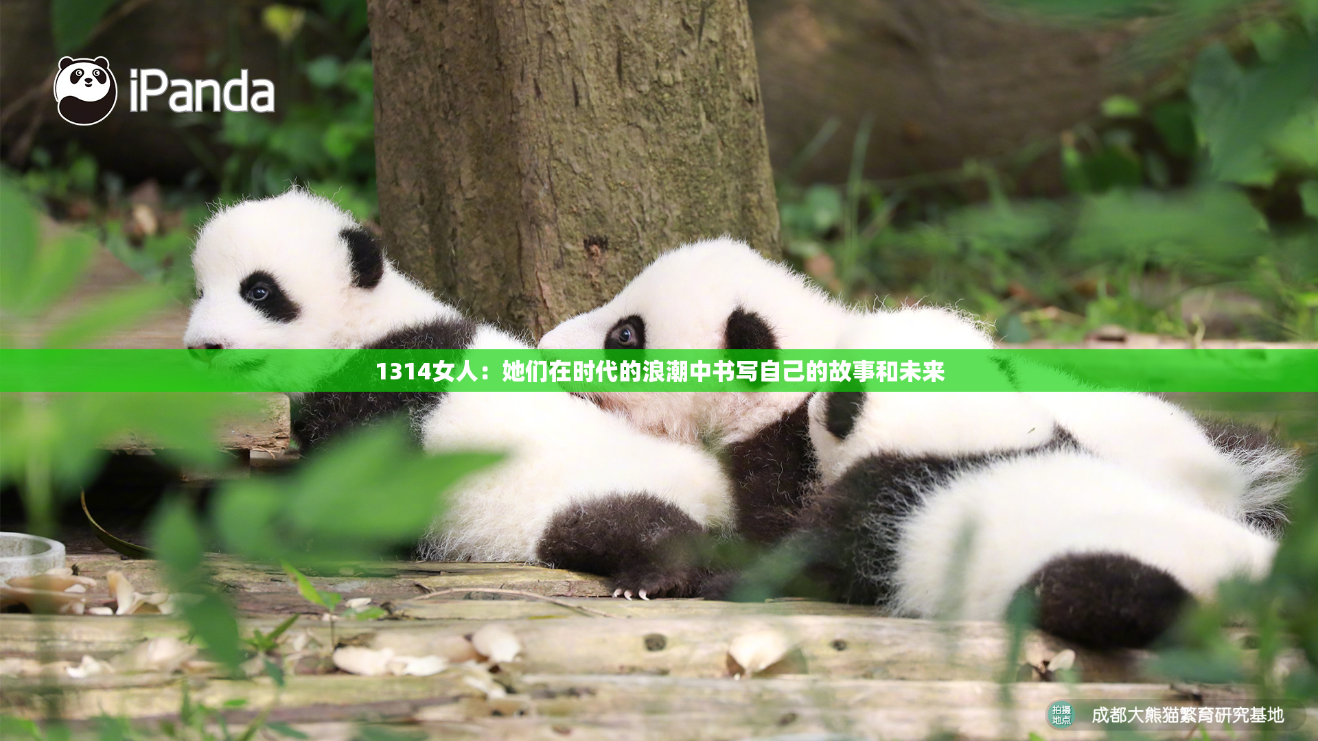 1314女人：她们在时代的浪潮中书写自己的故事和未来