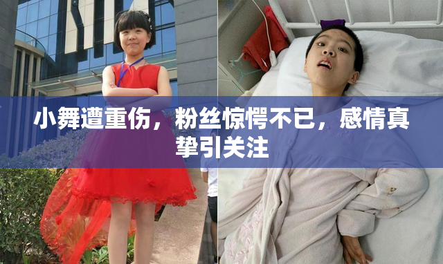 小舞遭重伤，粉丝惊愕不已，感情真挚引关注