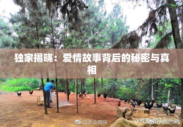独家揭晓：爱情故事背后的秘密与真相