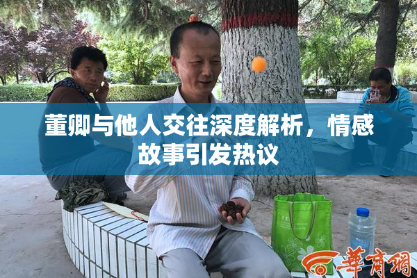 董卿与他人交往深度解析，情感故事引发热议