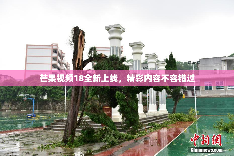 芒果视频18全新上线，精彩内容不容错过