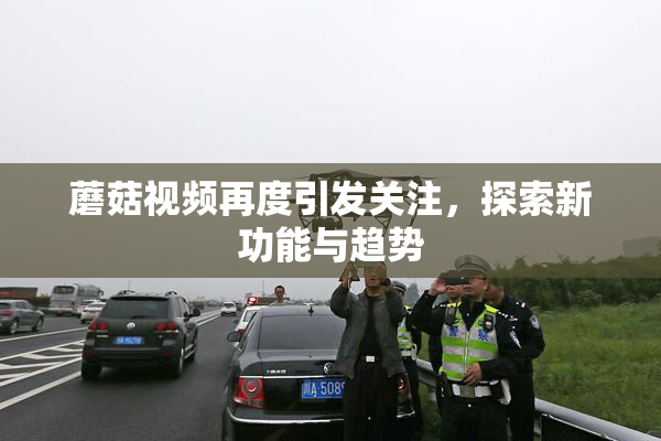 蘑菇视频再度引发关注，探索新功能与趋势