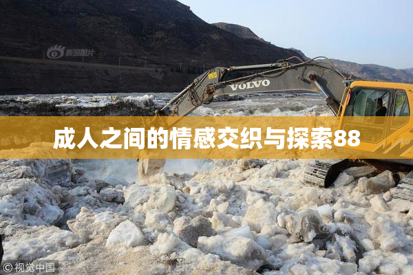 成人之间的情感交织与探索88