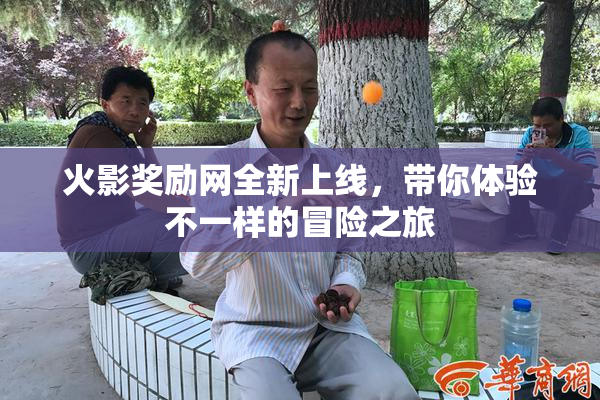 火影奖励网全新上线，带你体验不一样的冒险之旅