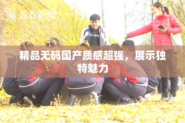 精品无码国产质感超强，展示独特魅力