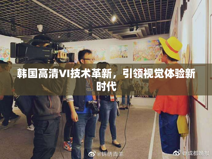 韩国高清VI技术革新，引领视觉体验新时代