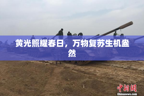 黄光照耀春日，万物复苏生机盎然