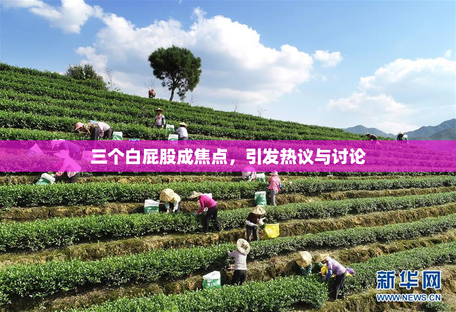 三个白屁股成焦点，引发热议与讨论