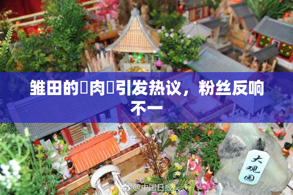 雏田的婬肉泬引发热议，粉丝反响不一