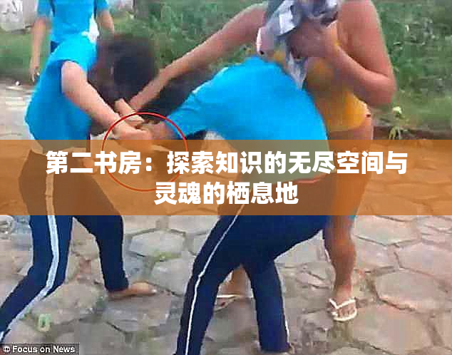 第二书房：探索知识的无尽空间与灵魂的栖息地
