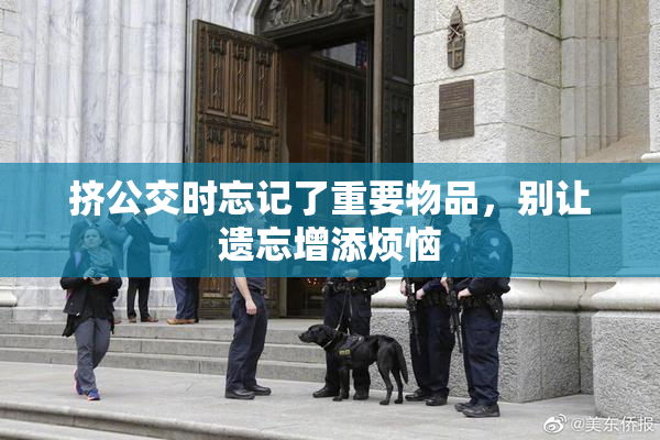 挤公交时忘记了重要物品，别让遗忘增添烦恼