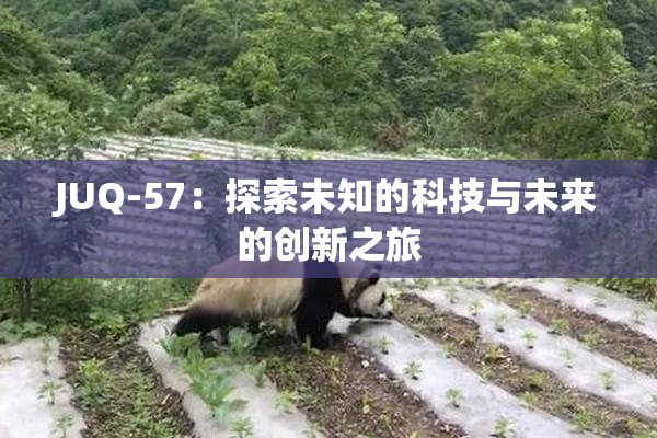 JUQ-57：探索未知的科技与未来的创新之旅