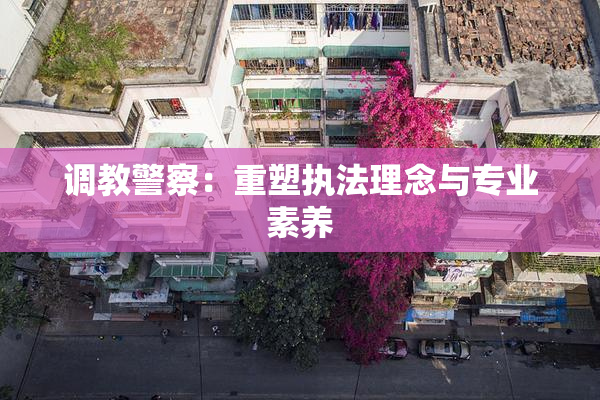 调教警察：重塑执法理念与专业素养