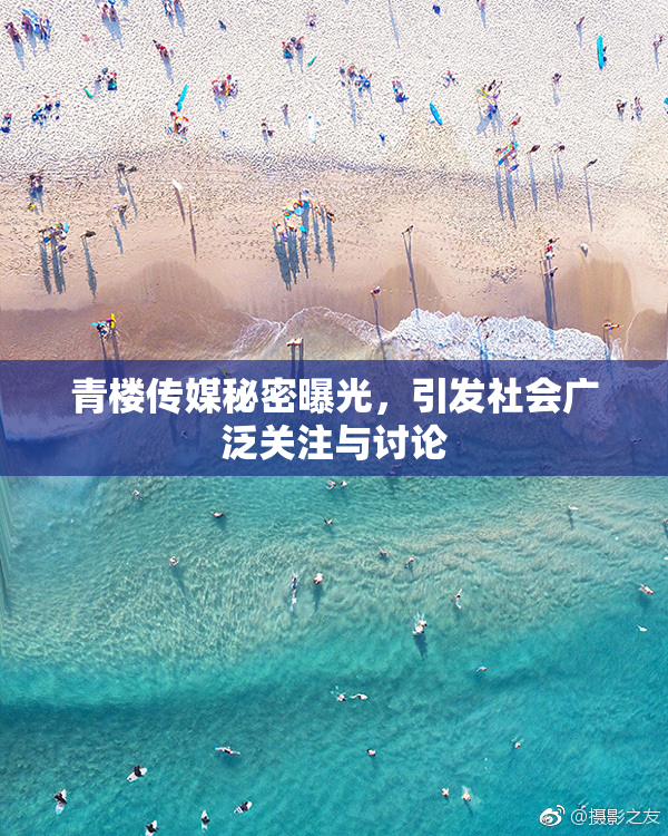 青楼传媒秘密曝光，引发社会广泛关注与讨论