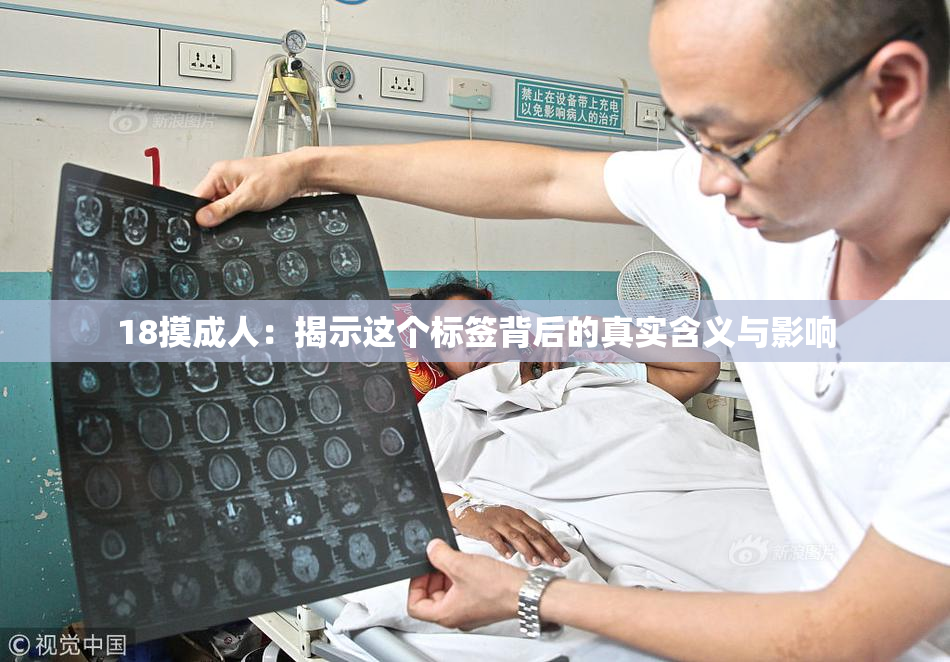 18摸成人：揭示这个标签背后的真实含义与影响