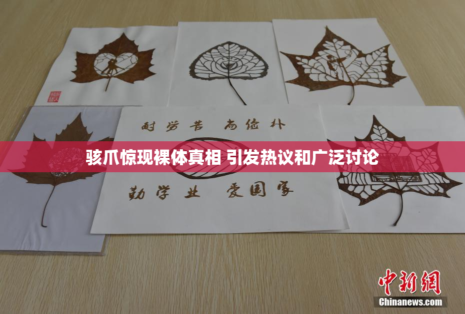 骇爪惊现裸体真相 引发热议和广泛讨论