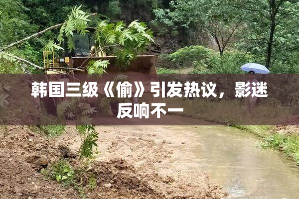 韩国三级《偷》引发热议，影迷反响不一