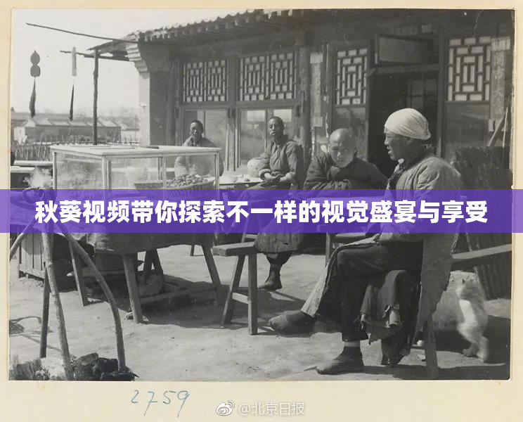 秋葵视频带你探索不一样的视觉盛宴与享受