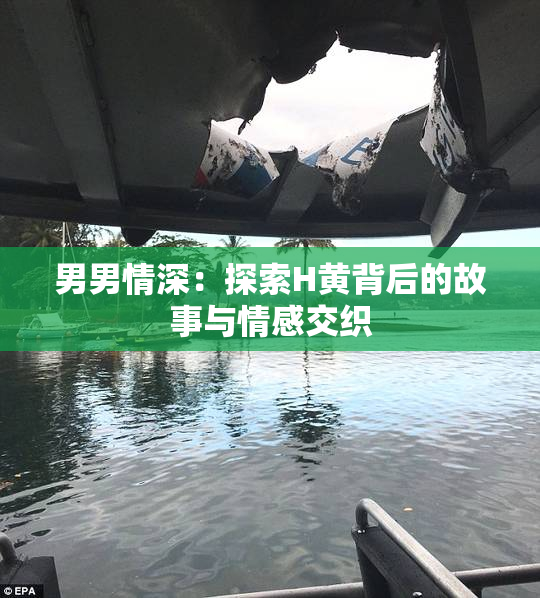 男男情深：探索H黄背后的故事与情感交织