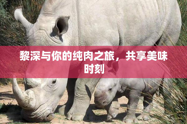 黎深与你的纯肉之旅，共享美味时刻