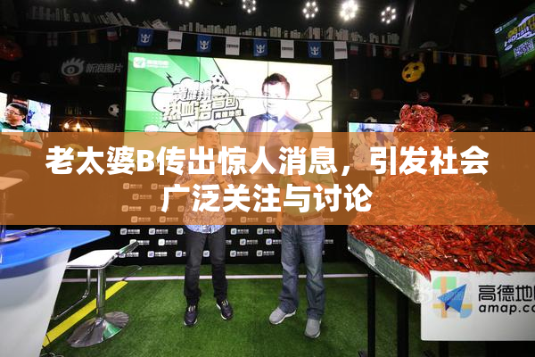 老太婆B传出惊人消息，引发社会广泛关注与讨论