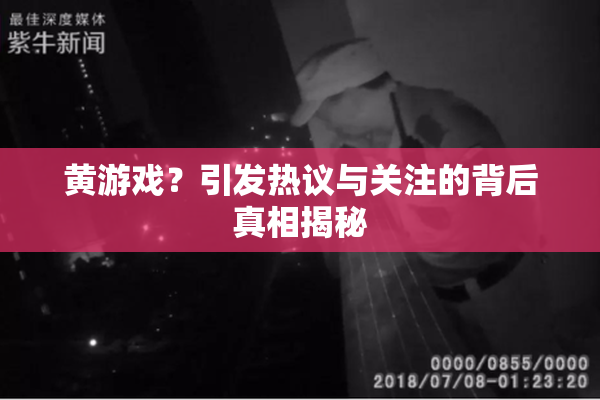 黄游戏？引发热议与关注的背后真相揭秘