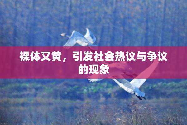 裸体又黄，引发社会热议与争议的现象