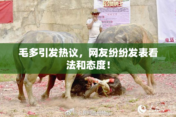 毛多引发热议，网友纷纷发表看法和态度！