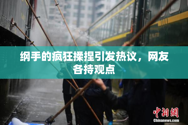 纲手的疯狂揉捏引发热议，网友各持观点