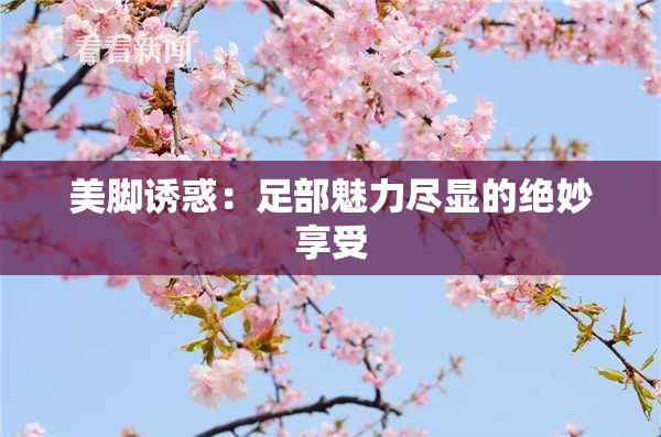 美脚诱惑：足部魅力尽显的绝妙享受