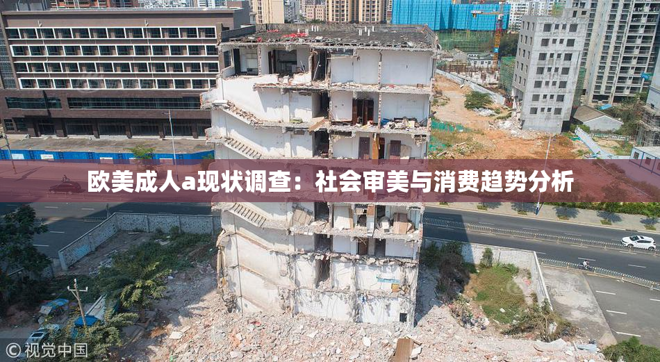 欧美成人a现状调查：社会审美与消费趋势分析