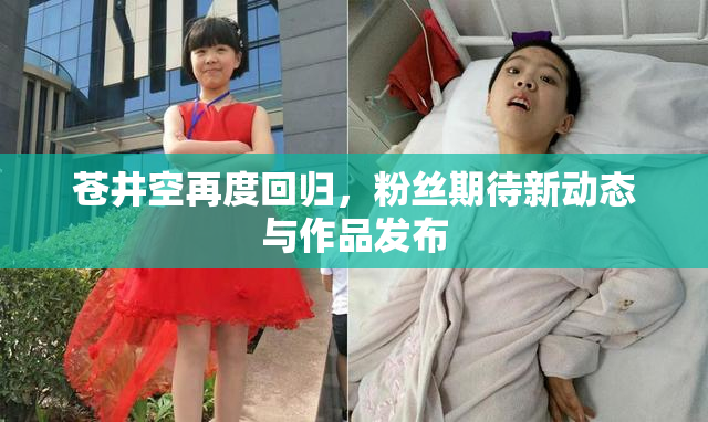 苍井空再度回归，粉丝期待新动态与作品发布