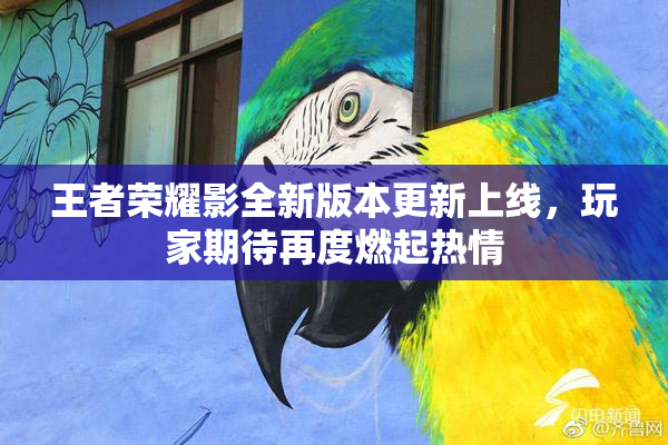 王者荣耀影全新版本更新上线，玩家期待再度燃起热情